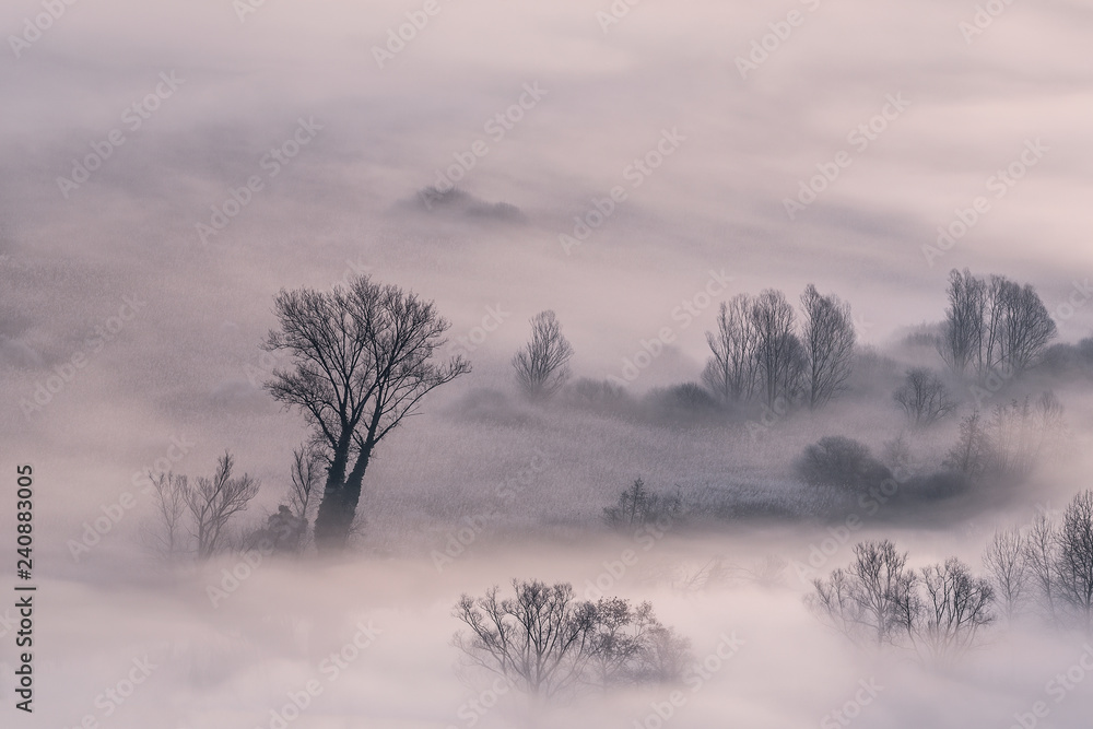 Paesaggio sul fiume con nebbia, Italia Paesaggio sul fiume con nebbia, Italia