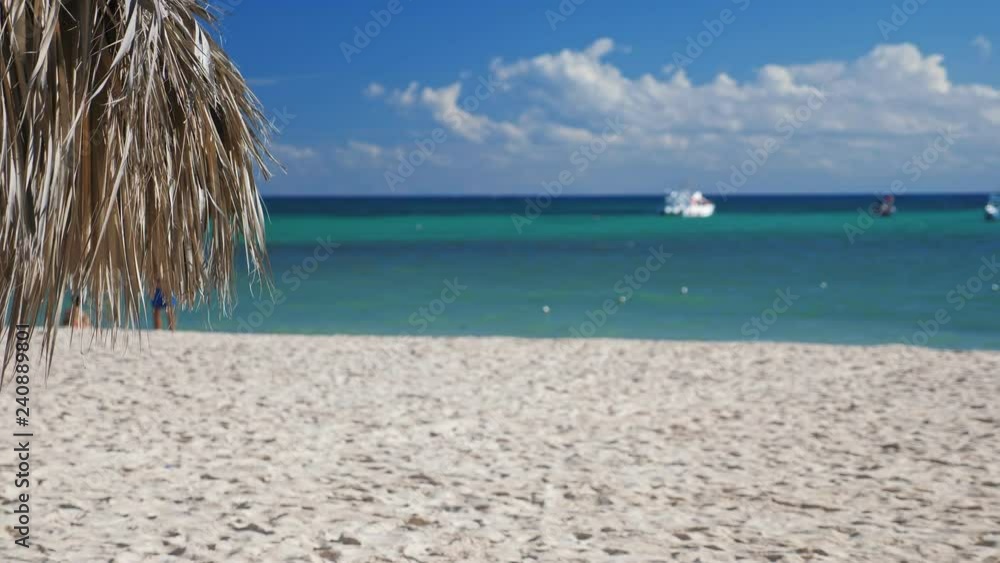 Tropical shore with thatched palapa. View on caribbean sea, nobody Tropical shore with thatched palapa. View on caribbean sea, nobody
