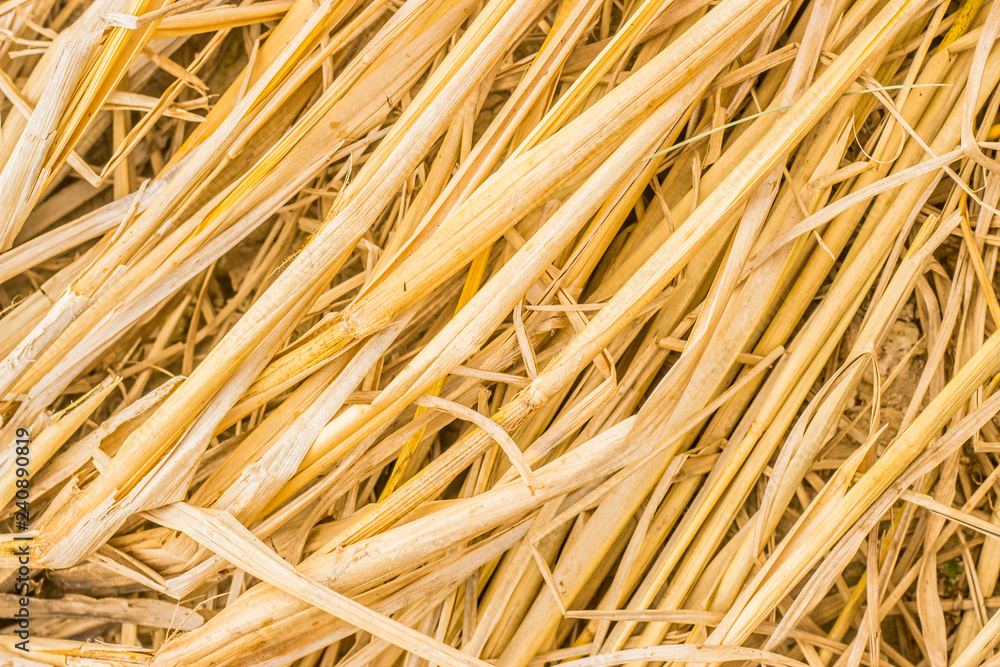 Thai Straw background Thai Straw background