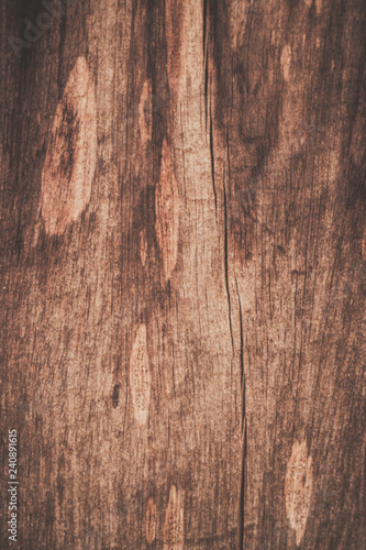 wood texture background