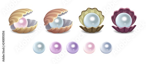 vector set of opened seashells with pearls isolated