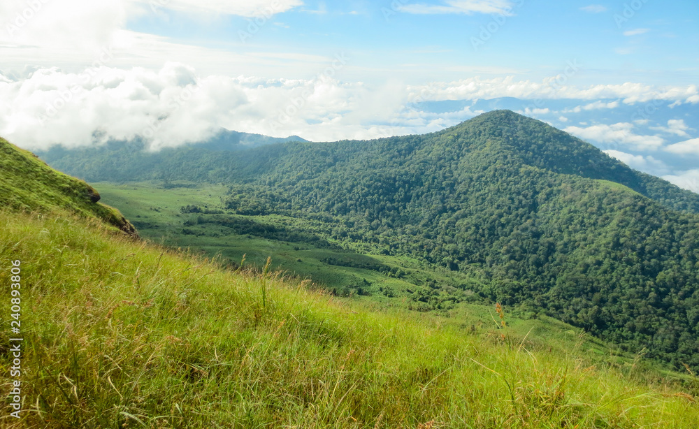 fresh green field on top of the mountain at Monjong, Chiang Mai, Thailand