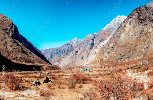 Nepal Langtang valley