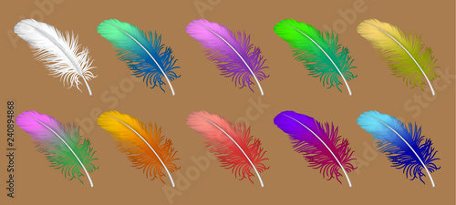 vector set of down, feather, Swan's down, goose feathers, chicken feathers, parrot feathers, plumelet