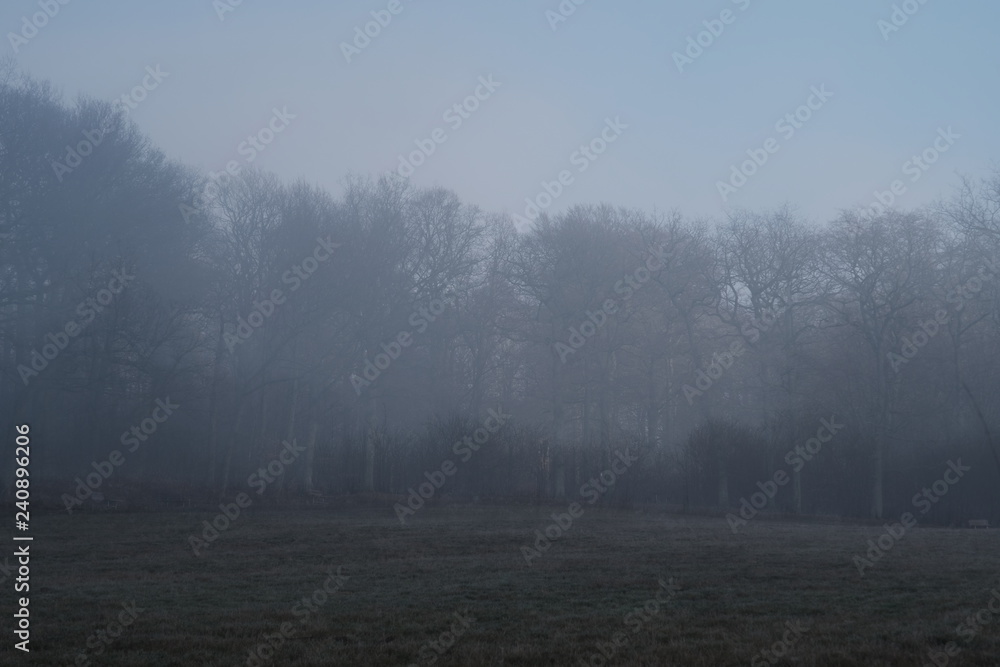 Fototapeta premium Landschaft zur Winter Zeit mit Nebel Wiesen und Bäumen