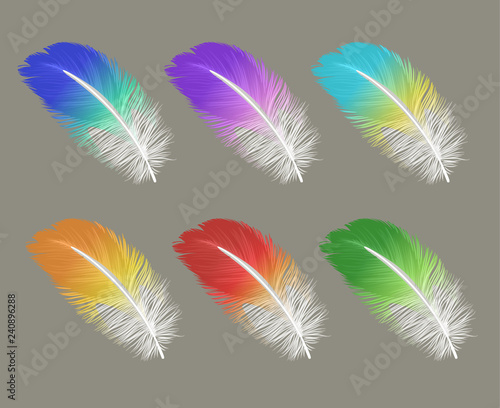 vector set of down, feather, Swan's down, goose feathers, chicken feathers, parrot feathers, plumelet