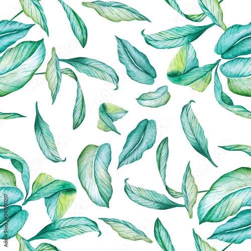 Hand-painted watercolor pattern. Poster with green leaves