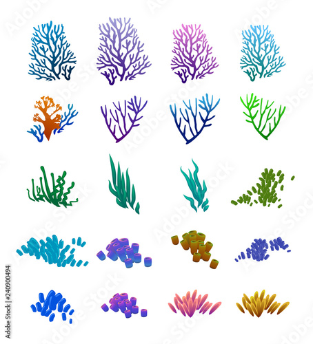 vector set of seaweed corals anemones