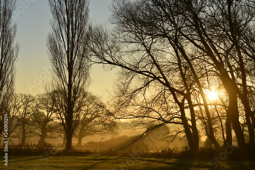 Winter sunrise, Jersey, U.K. Rural misty landscape.