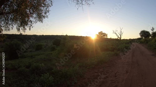 Sunrise View in Chobe National Park, Botswana