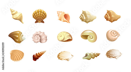 vector set of cute the shells of marine mollusks