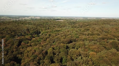 Aerial View Of Epping Forest