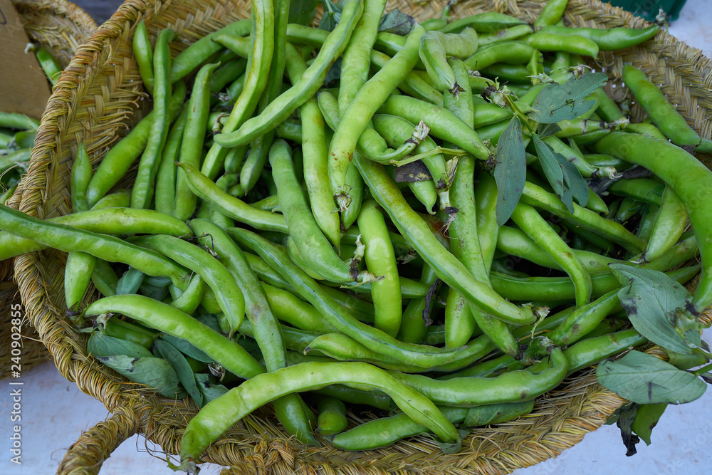 Broad beans from mediterranean in basket Broad beans from mediterranean in basket