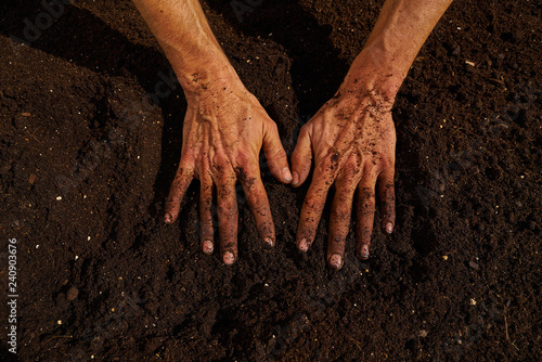 Farmer man hands dirty on substratum