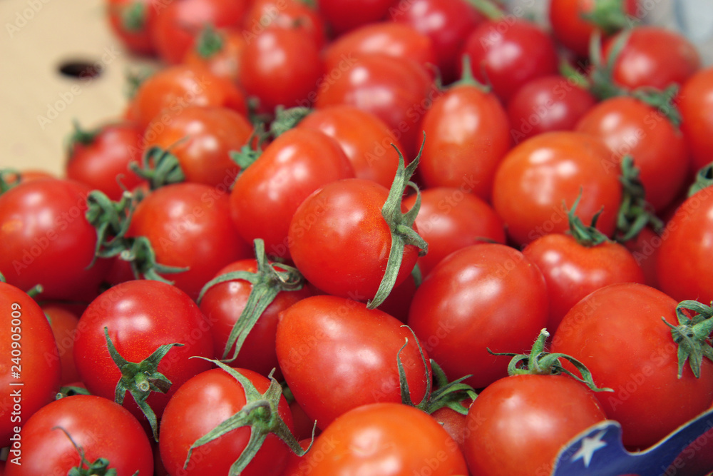 fresh tomatoes on the market fresh tomatoes on the market
