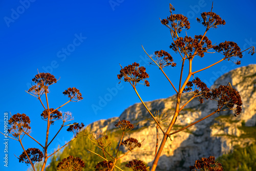 Montgo mountain in Denia of Spain photo