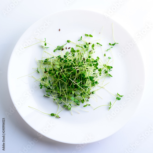microgreen flax seedlings in a white plate on a light background