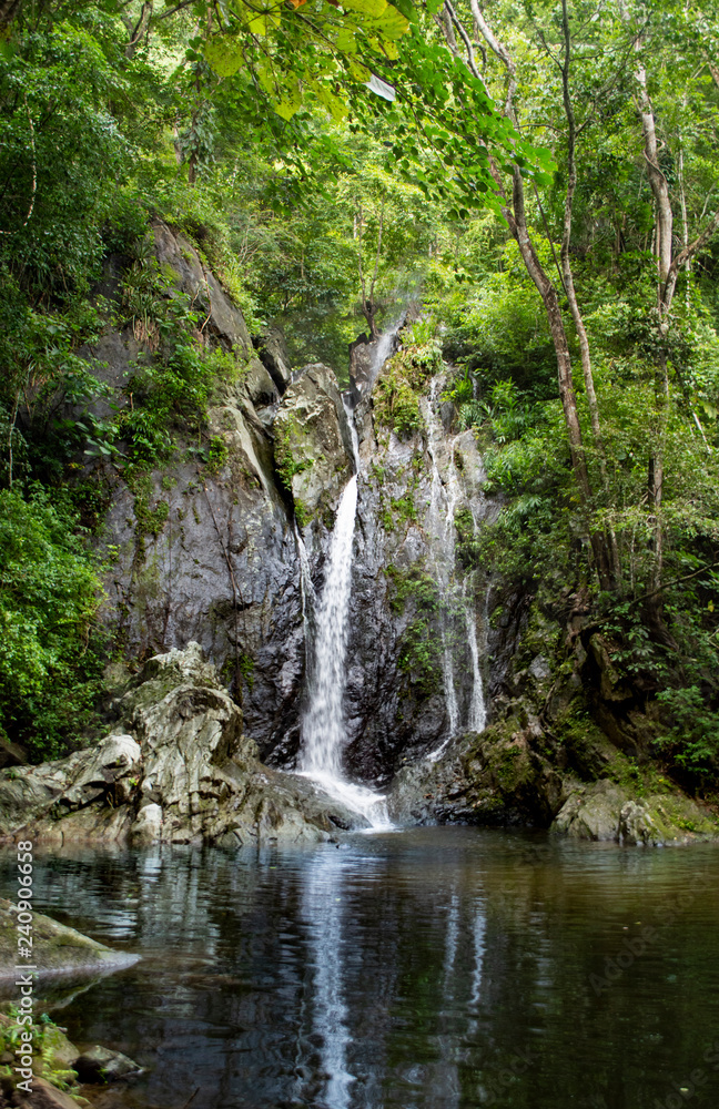 Waterfall Amidst Forest Greenery Waterfall Amidst Forest Greenery