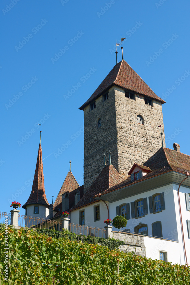 Old Spiez castle in the in the Bernese Oberland region in Switzerland. Old Spiez castle in the in the Bernese Oberland region in Switzerland.