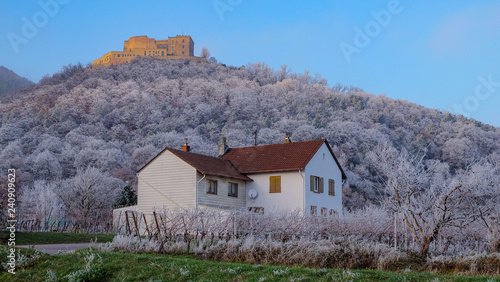 Fototapeta Naklejka Na Ścianę i Meble -  Weißes Haus mit Hambacher Schloss im Winter
