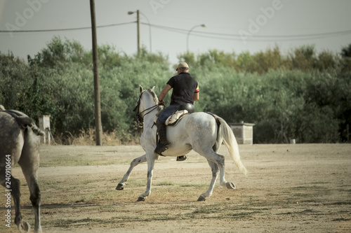 montando caballos andaluces en acción