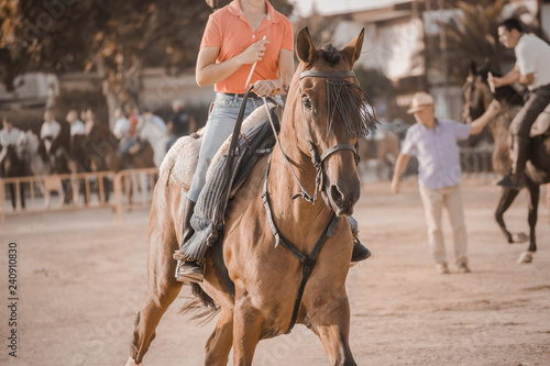 montando caballos andaluces en acción © Julio