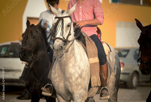 montando caballos andaluces en acción