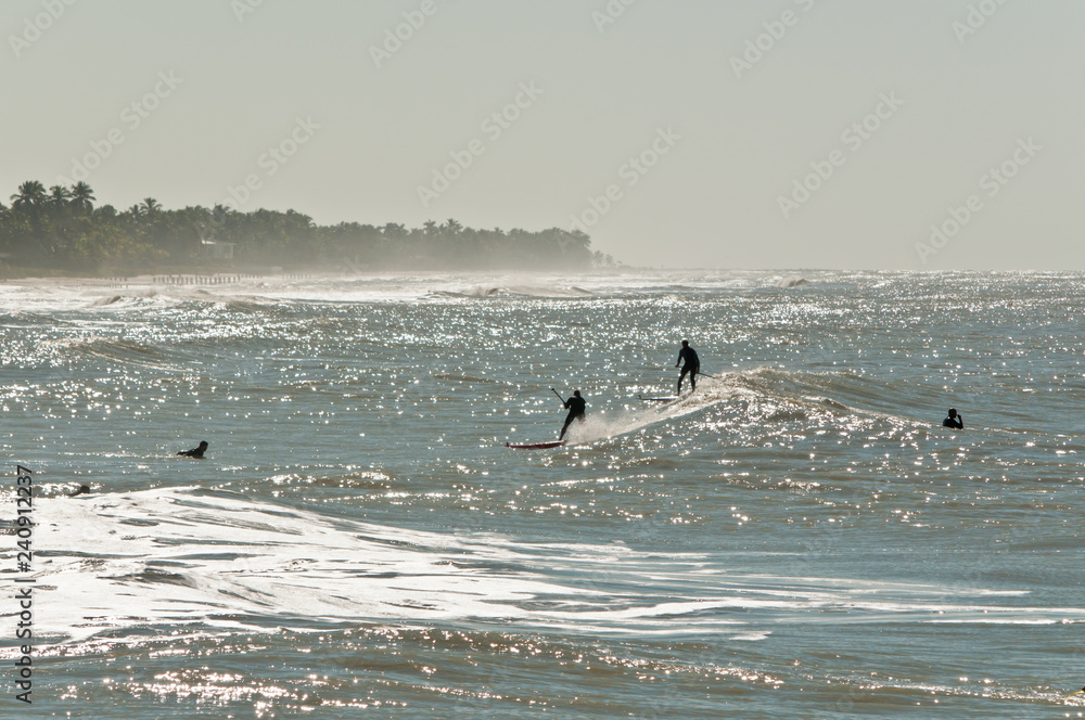 Side view, long distance of a young people, surfboarding, through surf zone in wetsuits toward shore, on windy, tropical day on gulf of mexico