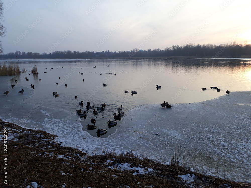 Frozen lake