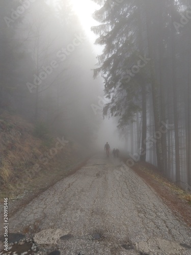 Man hiking within the trees on the hill in winter. Slovakia