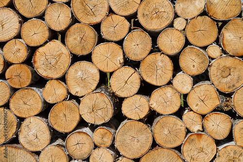 Decorative birch log wall.