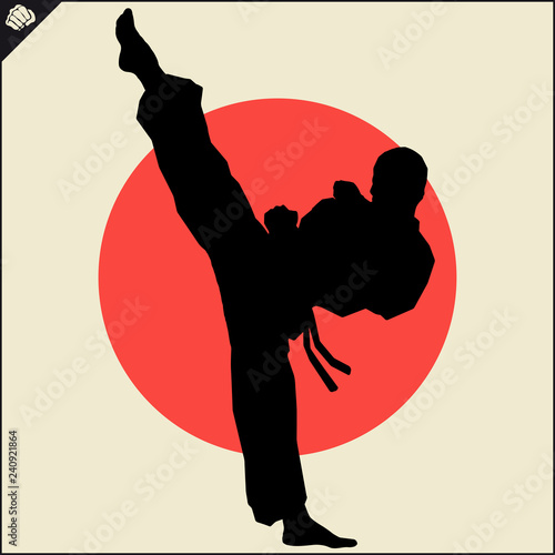 Martial art colored simbol design. Karate emblem.
