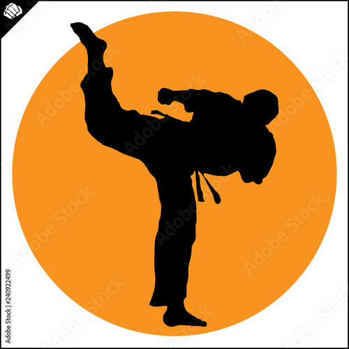 Martial art colored simbol design. Karate emblem.