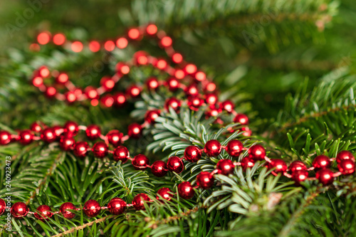 Closeup of spruce branches and Christmas tree lights in red, bokeh effect