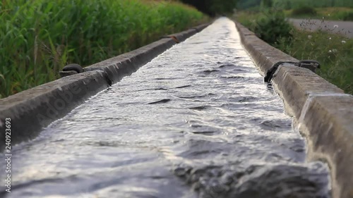Canal de Riego entre un Maizal y una Carretera