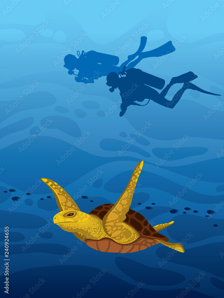 Obraz premium Żółw, płetwonurkowie i podwodne morze.
