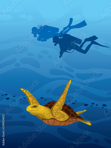 Turtle, scuba divers and underwater sea.