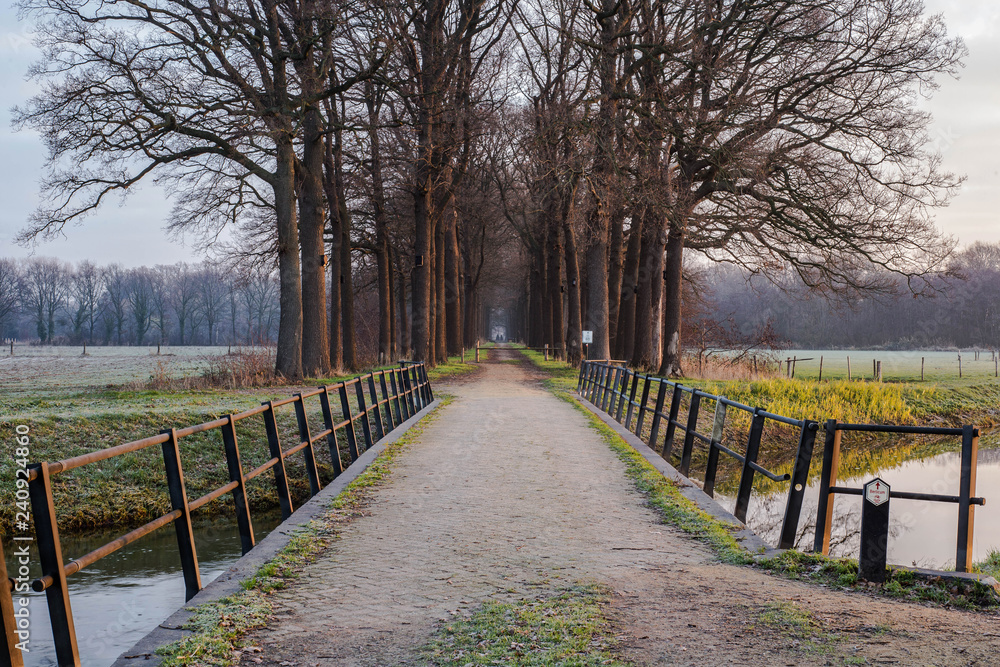Fototapeta premium Wooden bridge and pad to the forest in the Netherlands, with a calm river