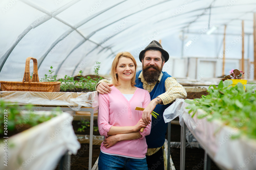 Obraz premium polycarbonate greenhouse. polycarbonate material for greenhouse. polycarbonate greenhouse industry. couple og gardeners in polycarbonate greenhouse. i have the best job in the world.