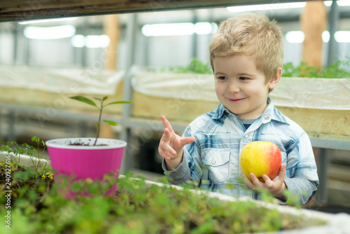 youth. concept of healthy youth with good future. youth in face of happy little boy hold fresh apple in greenhouse. youth and new life concept