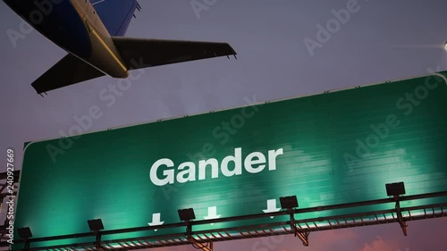 Airplane Take off Gander during a wonderful sunrise