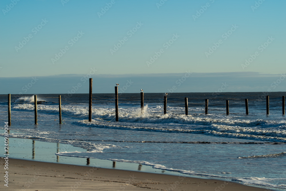 seagulls on posts with waves