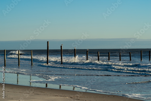 seagulls on posts with waves