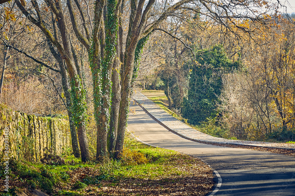Naklejka premium Autumn scene with road in the forest in La Vera, Extremadura. Spain