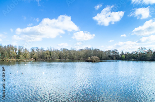 lake in deep forest