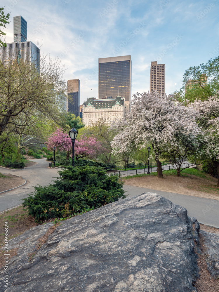 Central Park, New York City in spring Central Park, New York City in spring