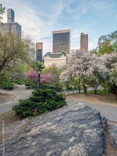 Fototapeta Naklejka Na Ścianę i Meble -  Central Park, New York City in spring