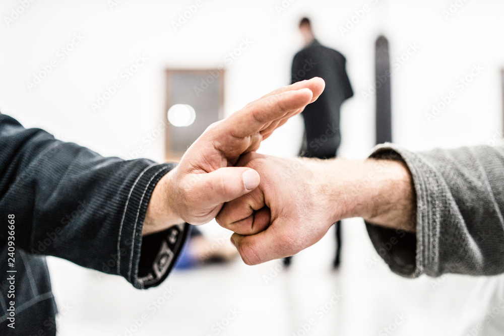 Fist hands slap at the brazilian Jiu Jitsu training Stock Photo Adobe