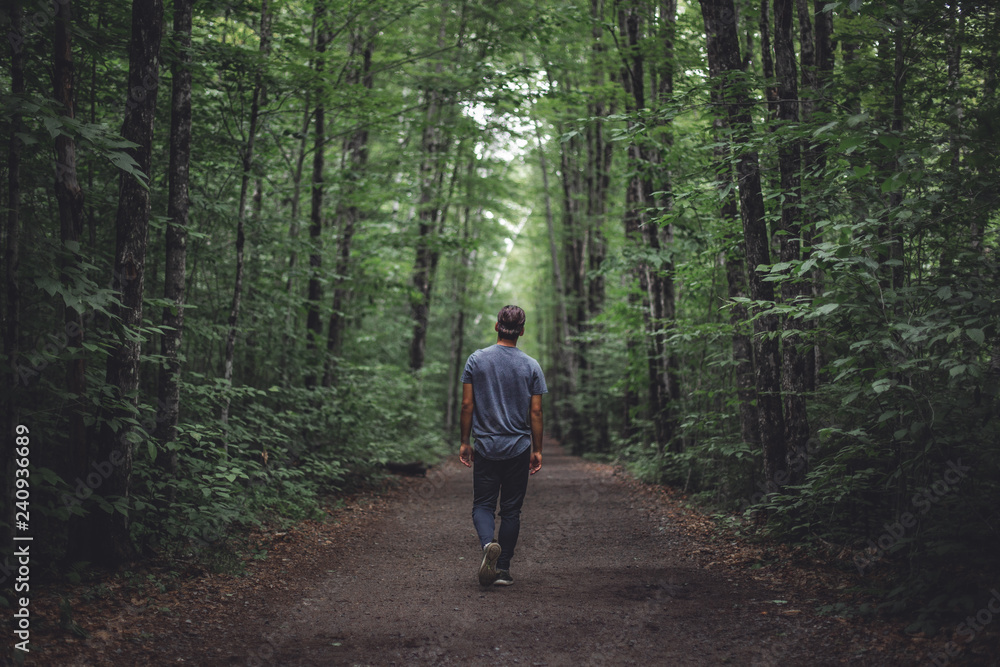 A young man walks alone on a dark forest path, heading in an unknown direction A young man walks alone on a dark forest path, heading in an unknown direction