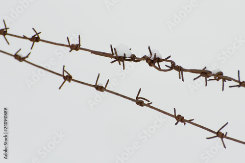 Two rows of barbed wire on a background of snow. Close-up